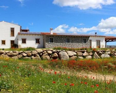 Tenute Testoni Agriturismo E B&B Bassacutena المظهر الخارجي الصورة