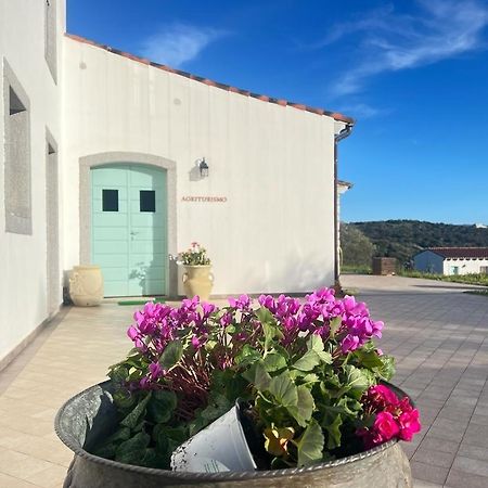 Tenute Testoni Agriturismo E B&B Bassacutena المظهر الخارجي الصورة