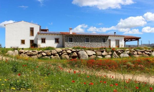 Tenute Testoni Agriturismo E B&B Bassacutena المظهر الخارجي الصورة